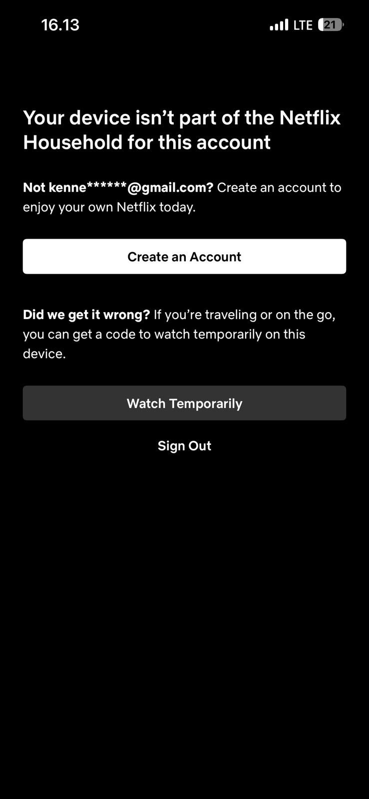 Netflix Household